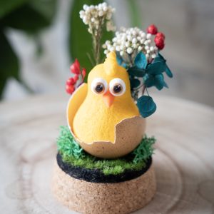 Poussin So'perlipoulette