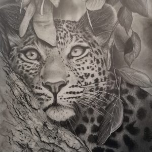 Portrait léopard - Dessin au crayon