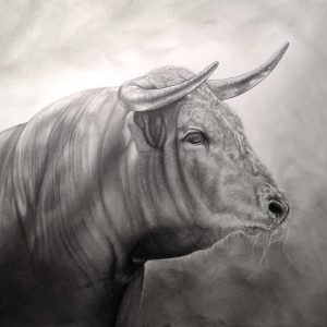 Portrait toro - Dessin au crayon